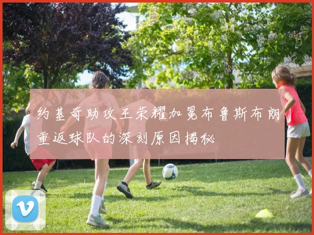 约基奇助攻王荣耀加冕布鲁斯布朗重返球队的深刻原因揭秘