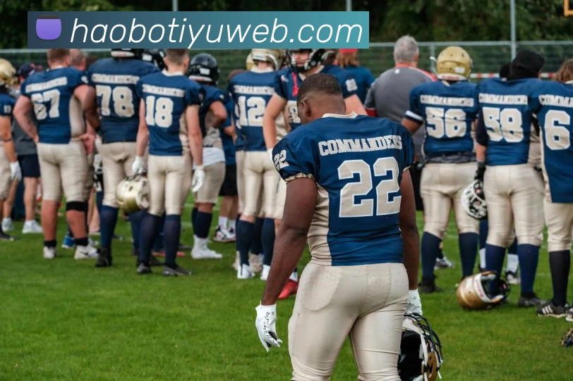 App Interface Preview